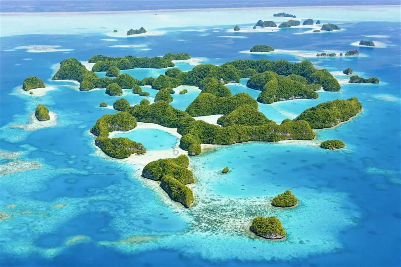 逗小猴开心系列198