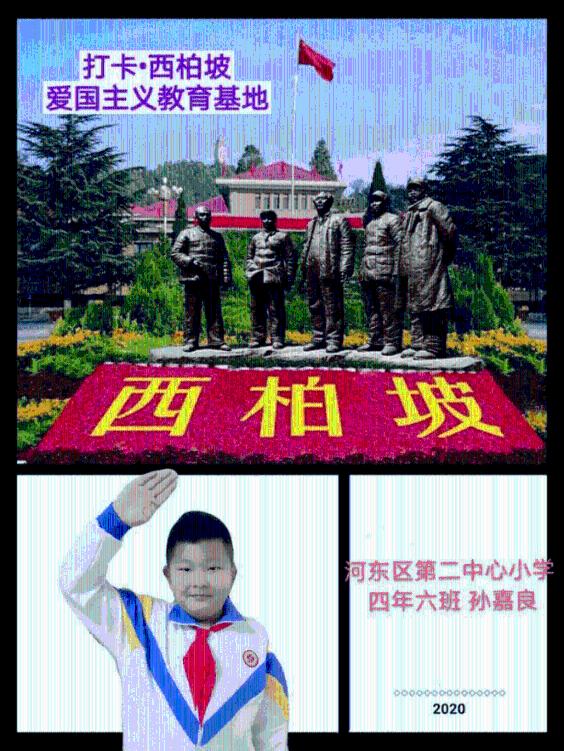 可怜猫的救援
